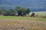 Traily - viacdnové výlety na koni