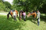 Traily - viacdnové výlety na koni