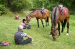 Traily - viacdnové výlety na koni