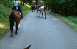Traily - viacdnové výlety na koni